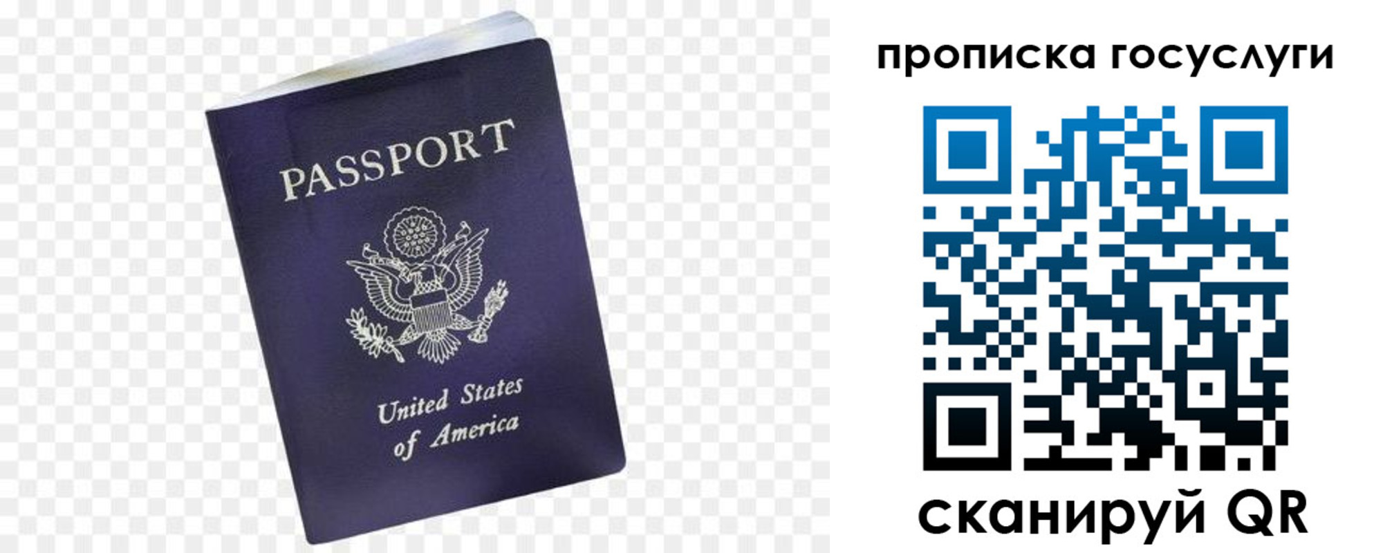 прописка поиск в Перми